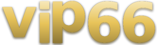 vip66 logo